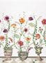 6749_1_Osborne_and_Little_Lamorran_W7683-01-81396