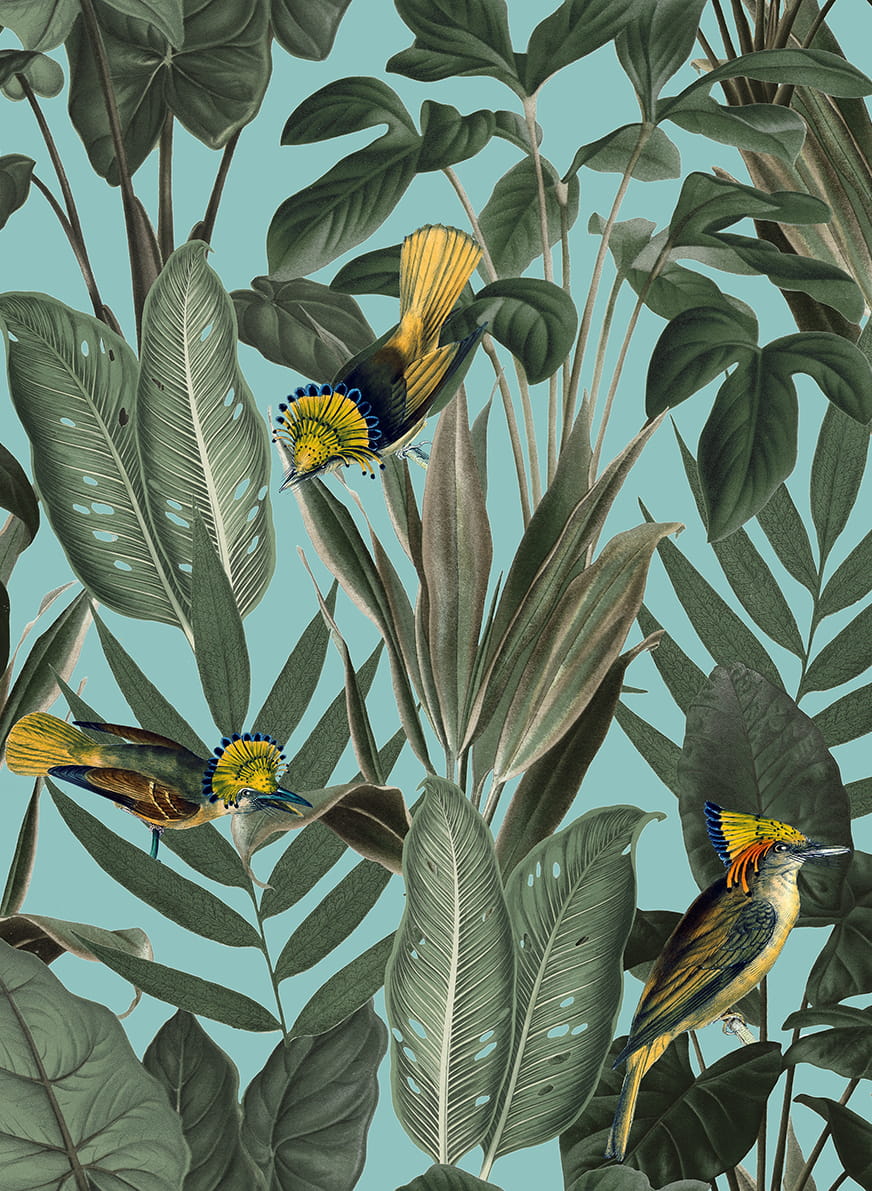 Tapete Birds of Paradise - Lush Green