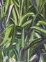 5430_3_Arte_Java_72012-81705