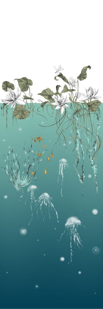 Tapete Nautilus/ Méduses/ Nénuphars - Turquoise - Méduses droit - Turquoise