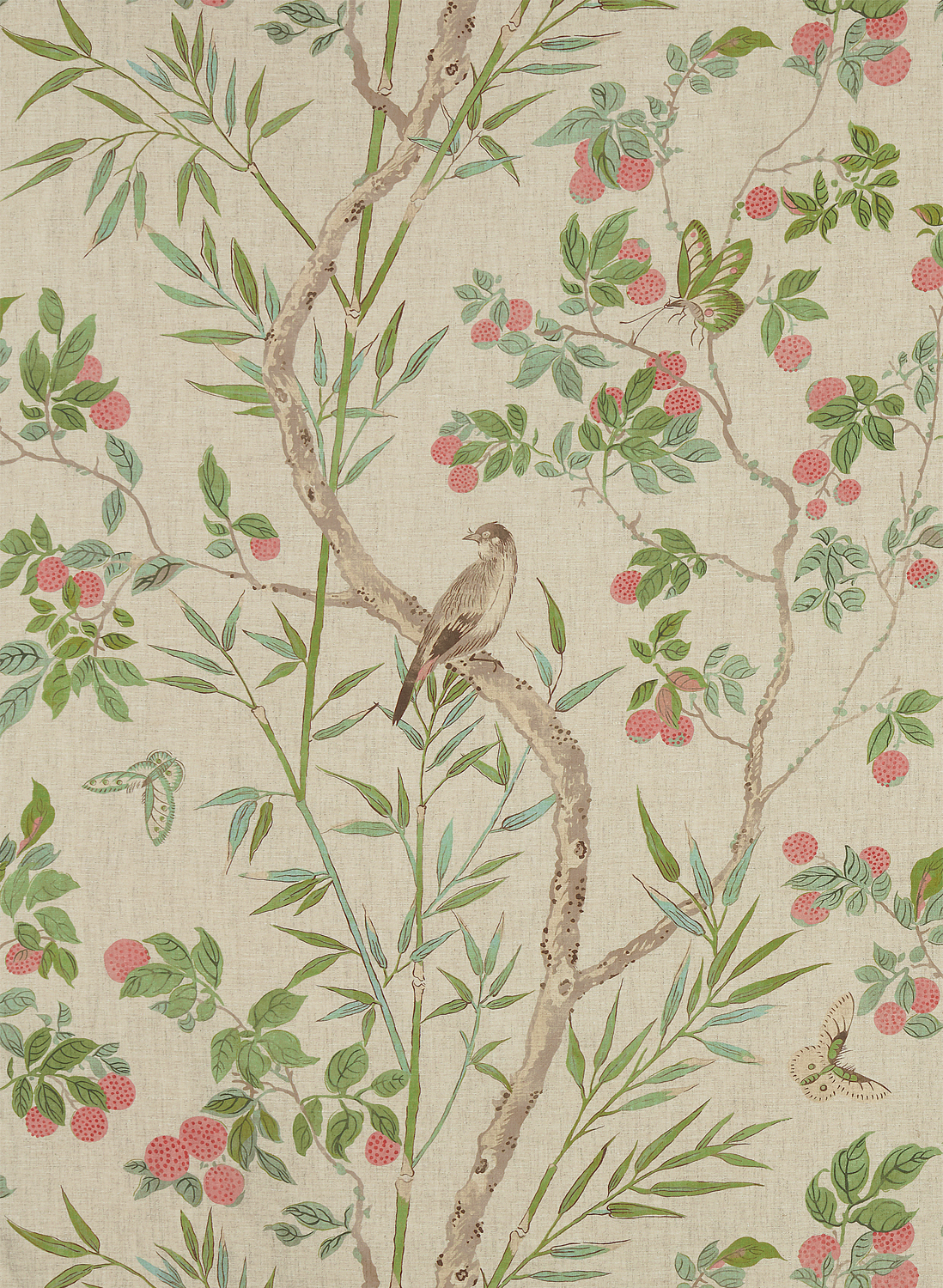 Tapete Claire - Coral and Green