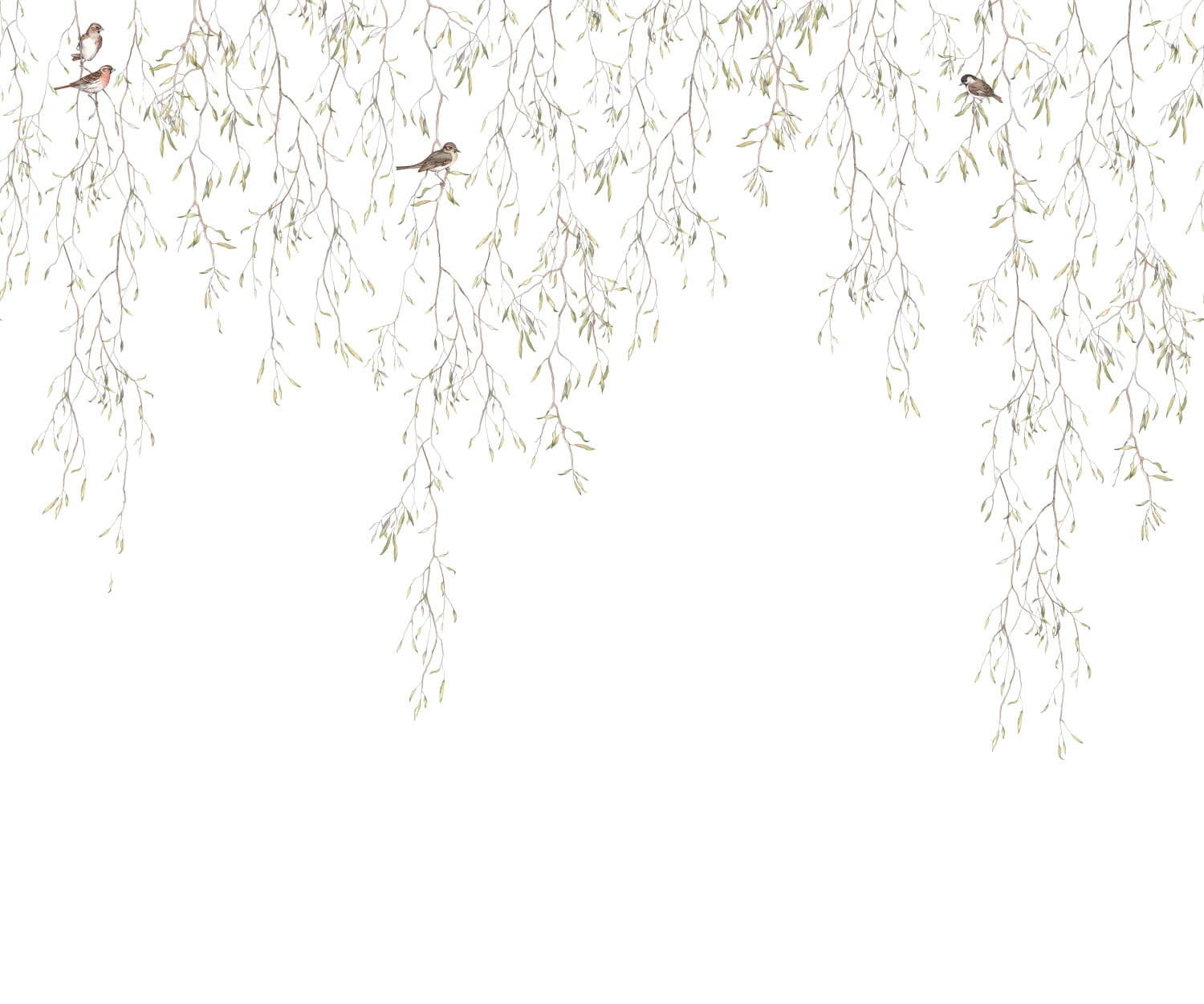 Carta da parati panoramica Spring Birds - 9447W