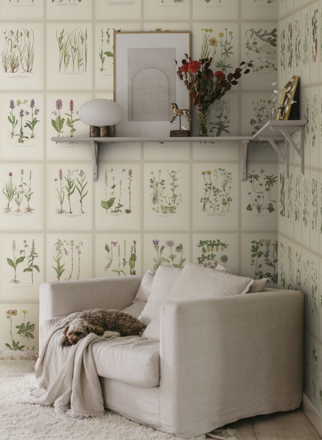 Wandbild Botanica