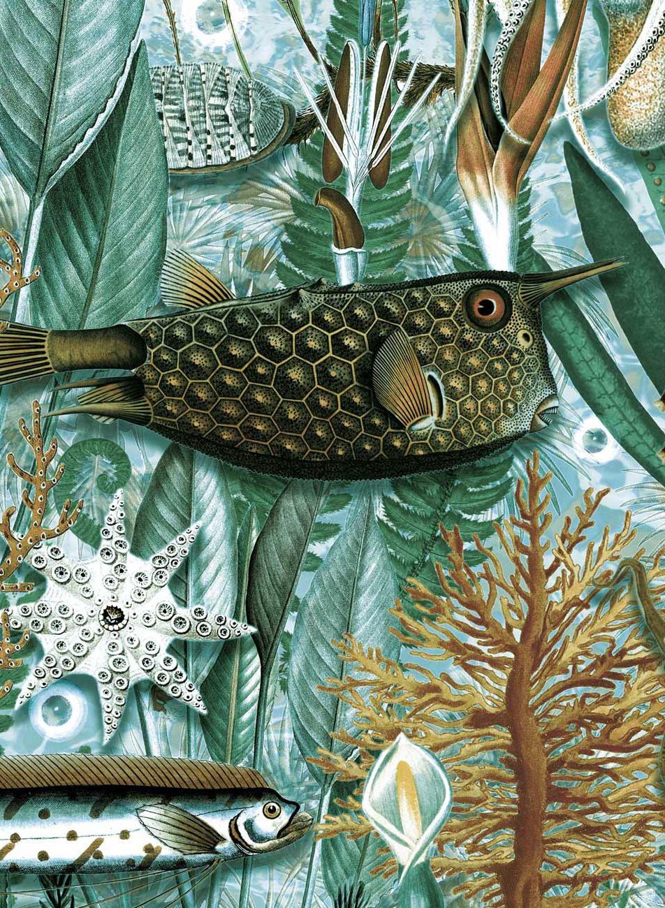 Tapete Underwater Jungle 6 - XL 3.90m