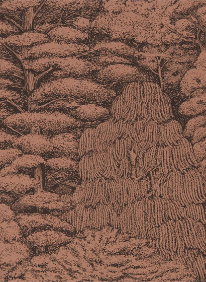 Tapete Woodland Toile - Copper/ Charcoal