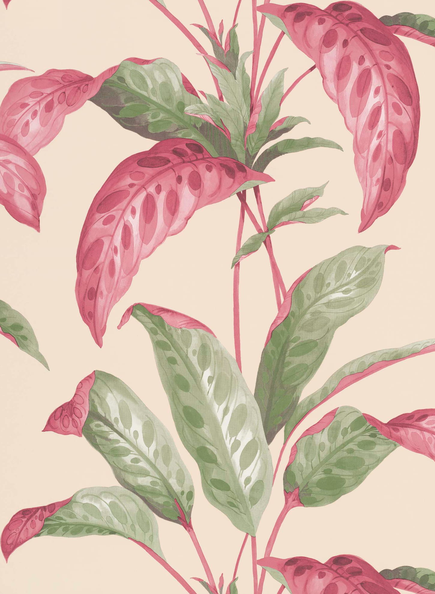 Tapete Tropicane - Rhubarb
