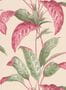 7059_4_Paint_Paper_Lib_Botany_Tropicane_Rhubarb_0360TRRHUBA-60664