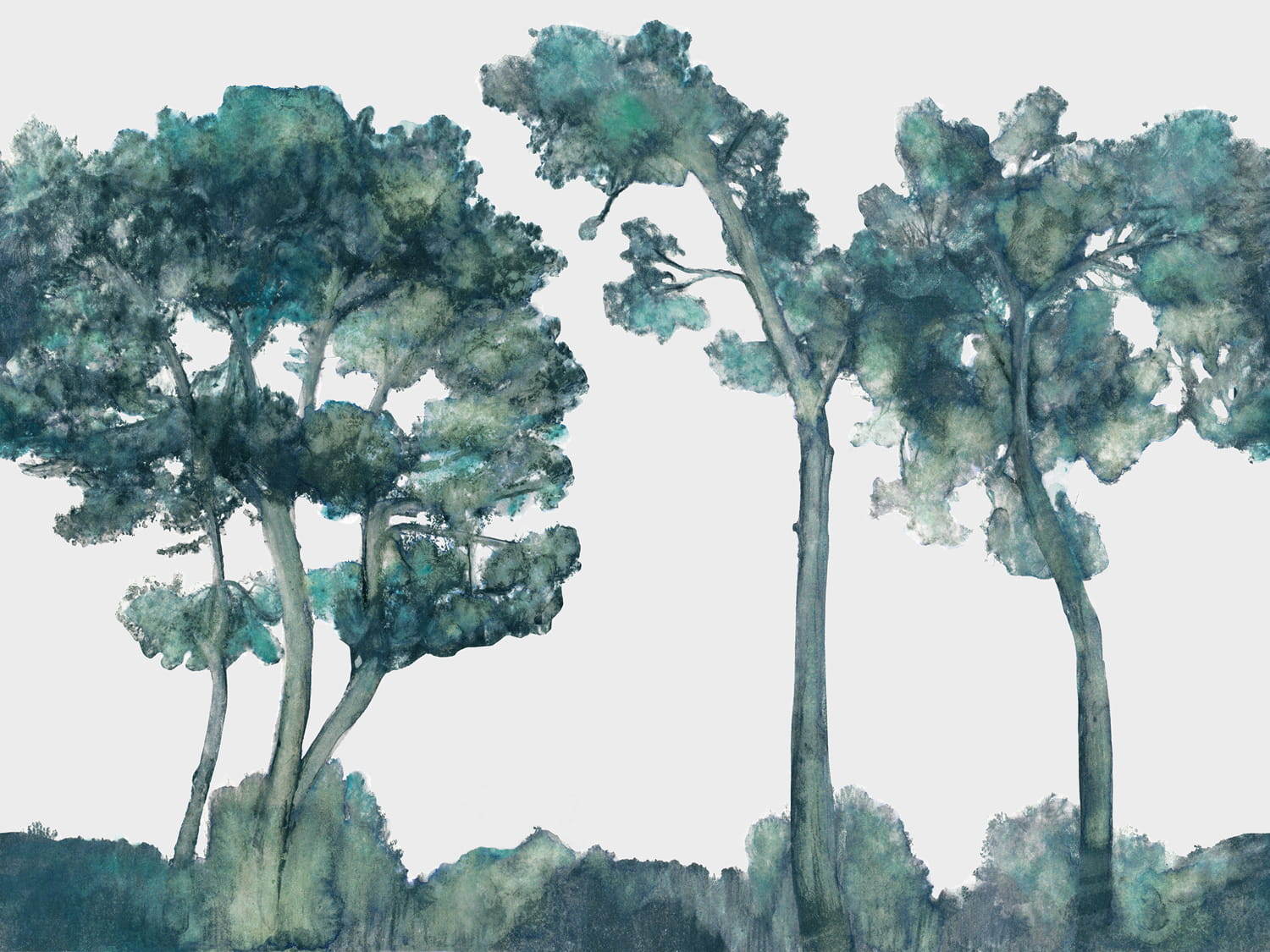 Wandbild Canopy - Forest