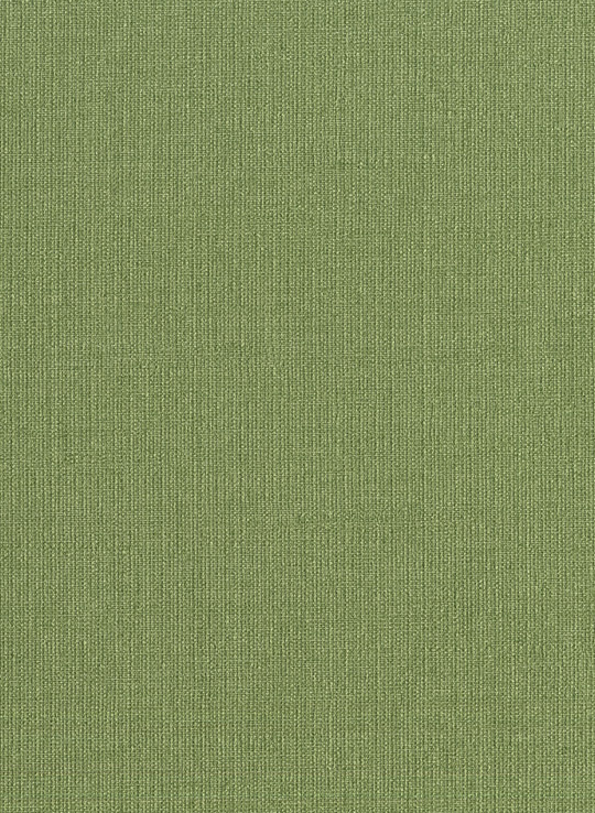 Tapete Plain Mini Chevron - 10022