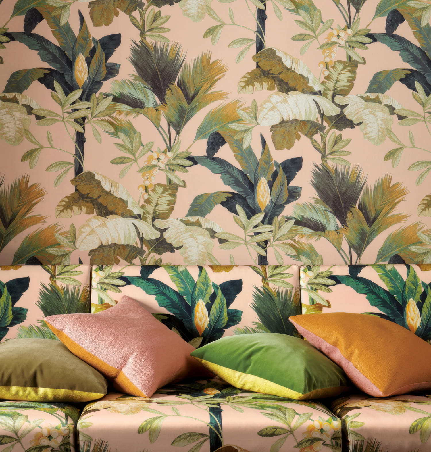Manuel Canovas