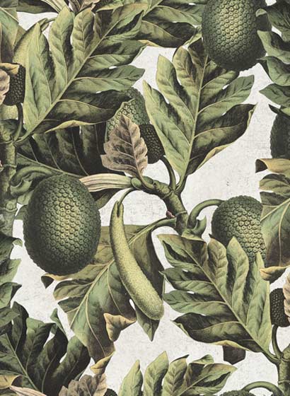 Wallpaper Exotic Fruit I - WP20097