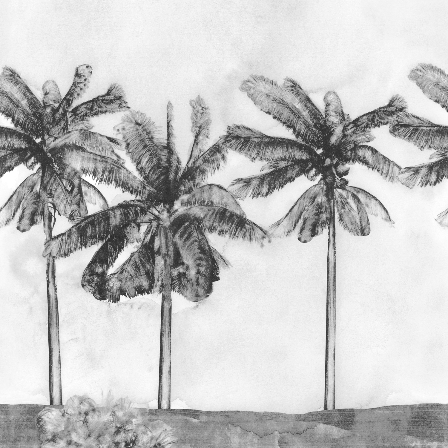 Wandbild Paradise - Pirate