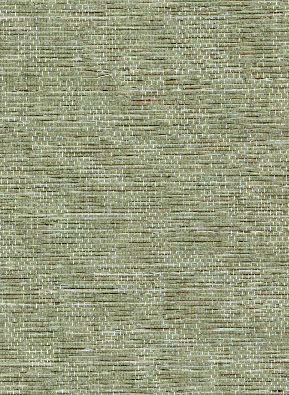 Tapete Sisal - Amande