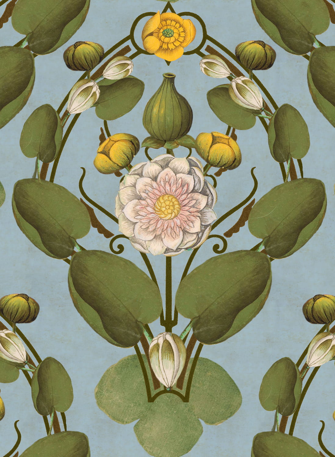 Tapete Nymphaea - WP20727
