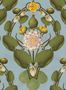 14961_02_Mindthegap_Nymphaea_WP20727-139836