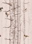 8506_4_Coordonne_Tapete_Birch_Trees_9500043-70047