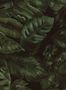 8589-1-Rebel-Walls-Tapete-Cameroon-R17581-70535
