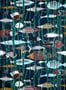 6622_2_Lelievre_Recif_6483-02-85971
