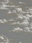 4085_3_sanderson_silvi-clouds_216603-31801