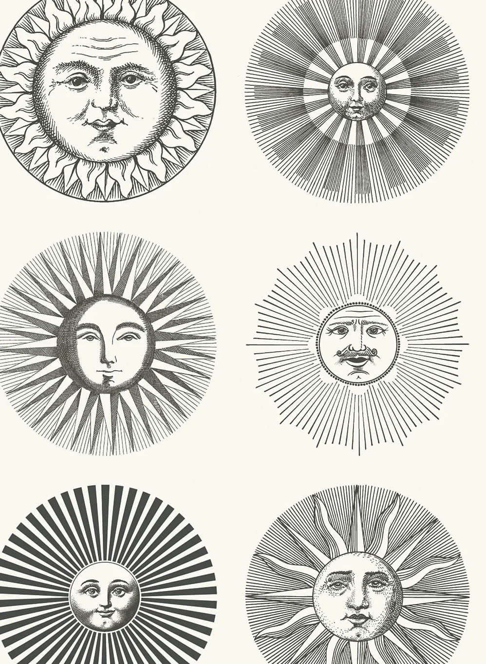 Tapete Soli - Black/ White