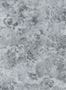 8749_4_Designers-Guild_Tarbana_PDG1126-04-77659