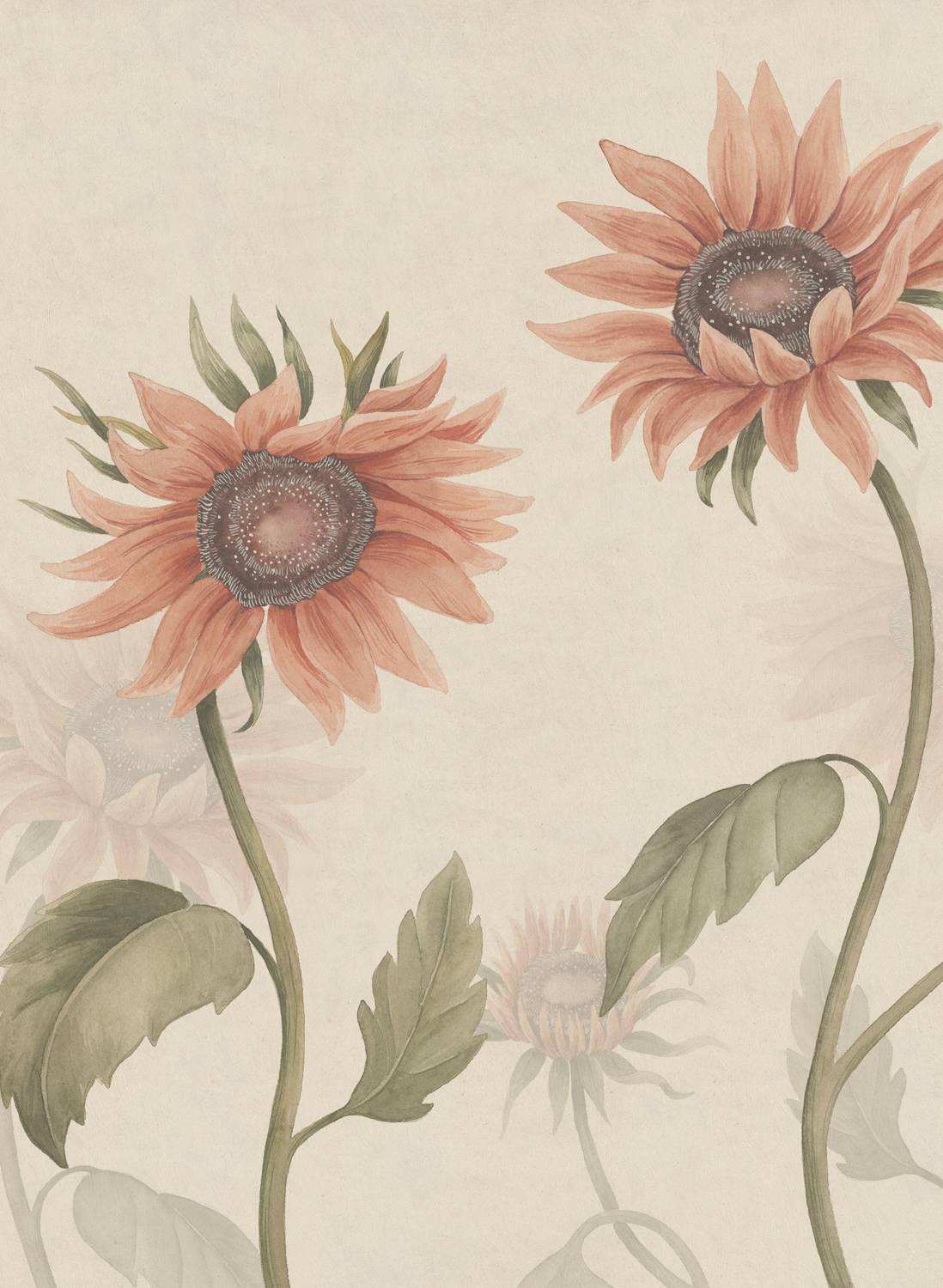 Wandbild Sunflowers - Peach