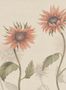 16262_1_Sandberg_Sunflowers_S10528-141539