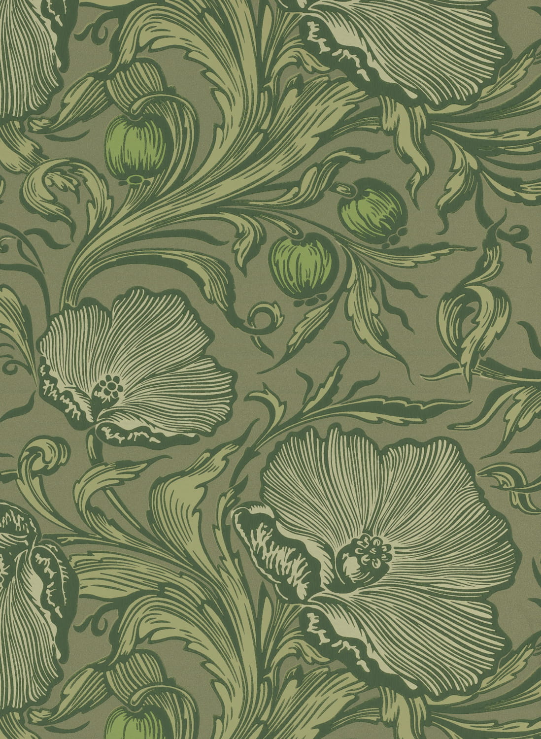 Tapete Poppy Trail - Sage Green