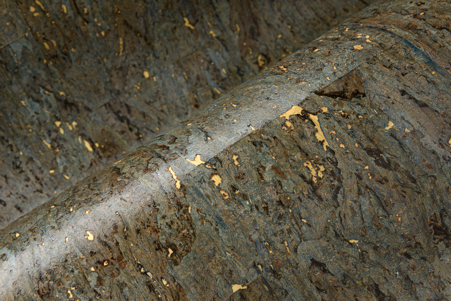 Tapete Alentejo Cork - Glazed Eucalyptus