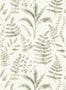 9816_3_Clarke_and_Clarke_Bracken_W0156_03-102585