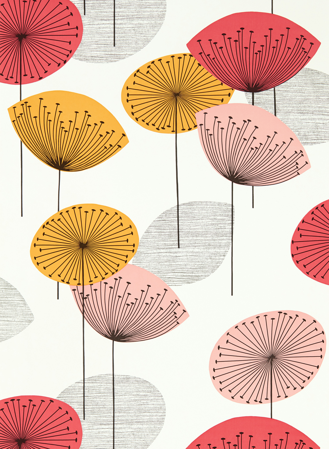 Tapete Dandelion Clocks - Coral