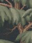 18227_04_Sandberg_Alba_S10898-198191