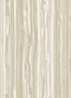 cole_son_strand_2512_3_107_7033-25743
