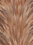 7044_4_Arte_Selva_Abanico_34003-60067