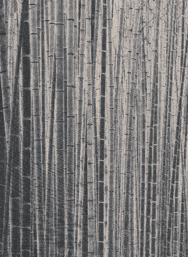Wandbild Arashiyama - Black Panel 1
