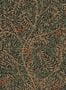 18009_01_Sandberg_Simon_S10495-156083