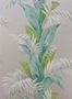 2652_2_osborne_little_palmetto_ncw4274-02-26338