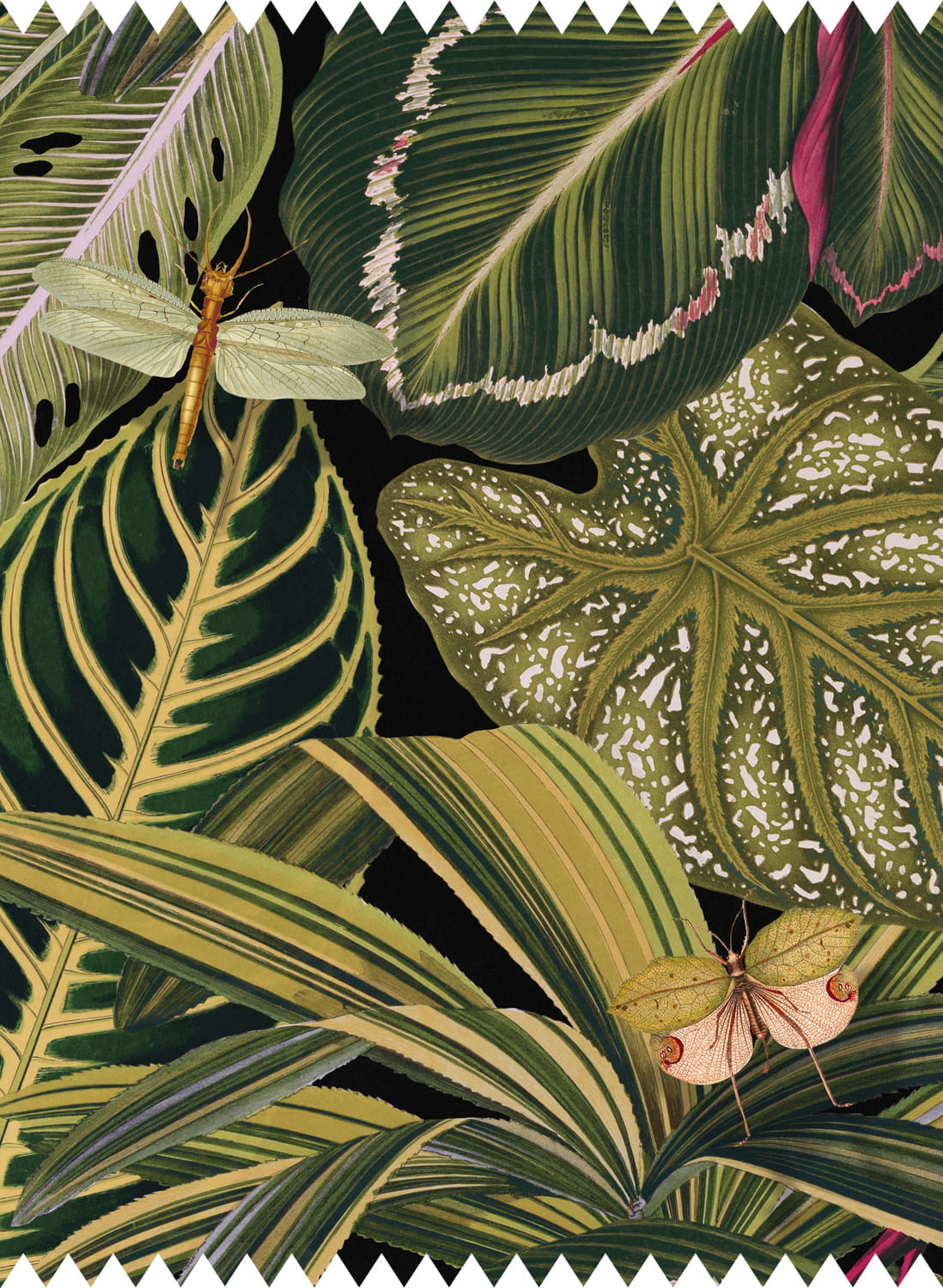 Fabric Amazonia