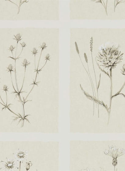 Tapete Little Thistles - Ecru