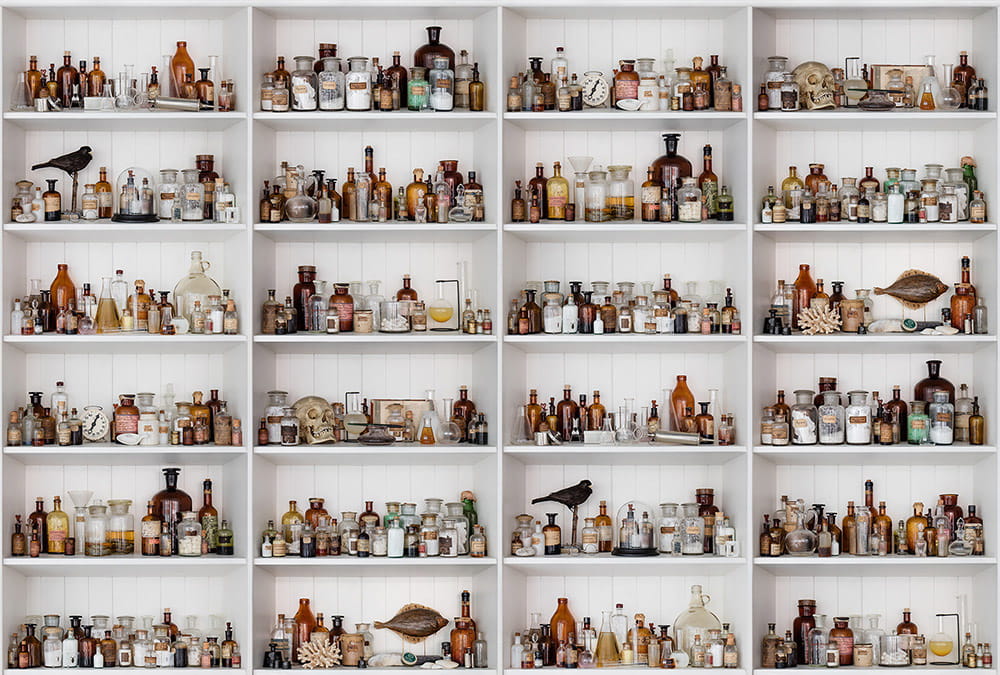 Wandbild Cabinet of Curios - Original