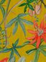 17705_03_NLXL_Passiflora_UON-13-164223