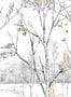 9613_2_Isidore-Leroy_Nunavut-Dore_6246721-96574