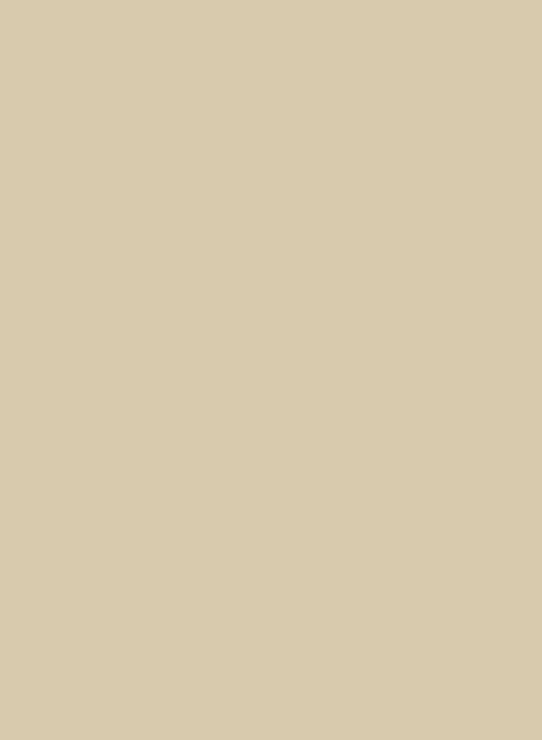 Sand V 265