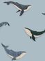 15268_02_Studio_Ditte_Whale_Walvis_Whale_Light_Blue-162670