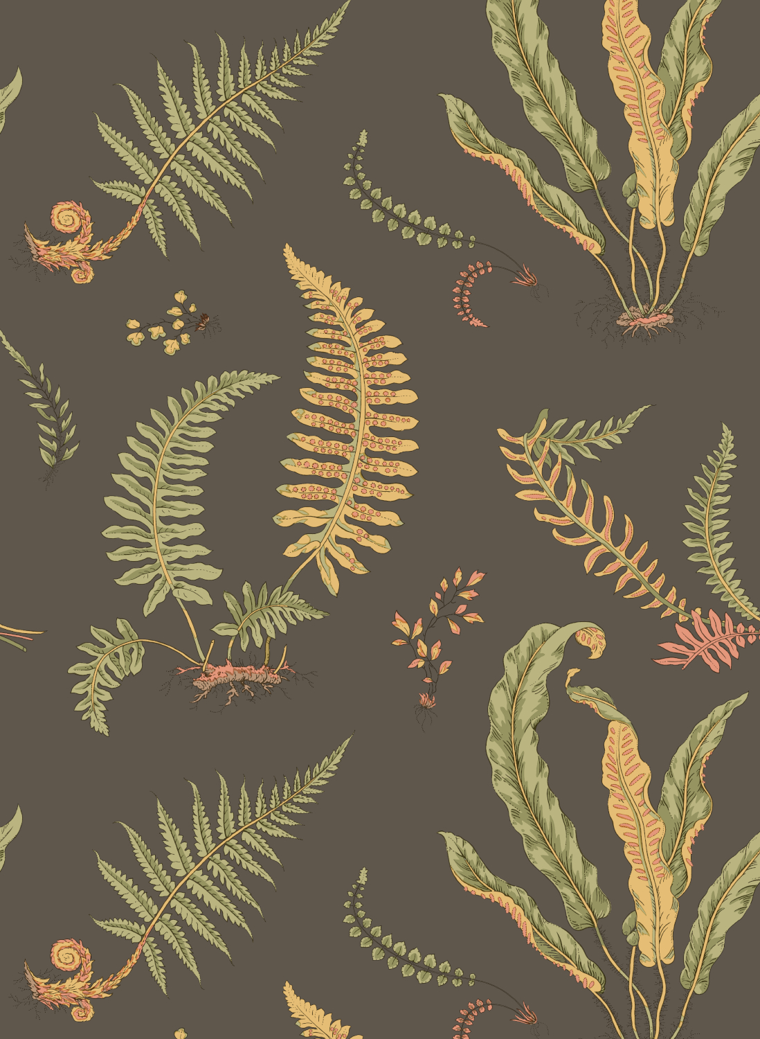 Tapete Ferns - Charcoal