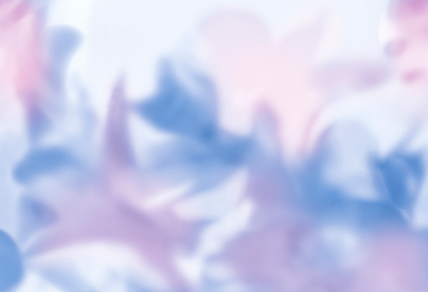 Wandbild Maravillas - Blue