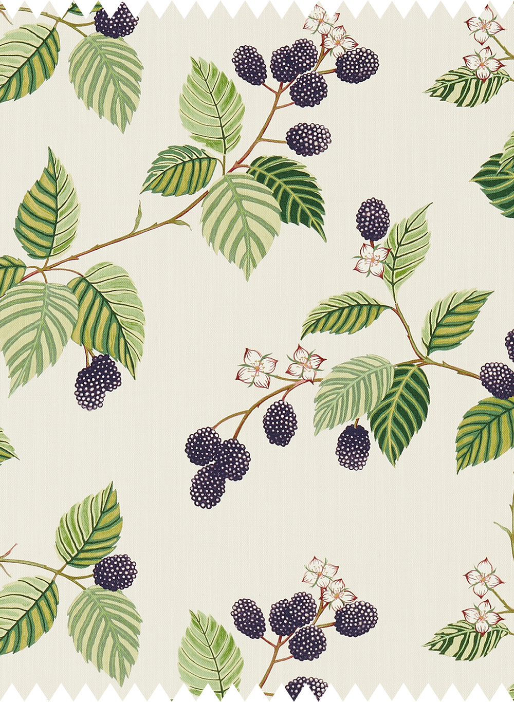 Stoff Rubus - Blackberry