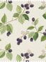 50006_1_XL3_Sanderson_Rubus_Fabric_227064-135909