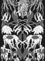 1960_1_nlxl_archives_wallpaper_job-06_withered_flowers_black-23618