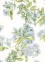 19105_01_Anna_French_Camellia_Garden_AT24549-187372